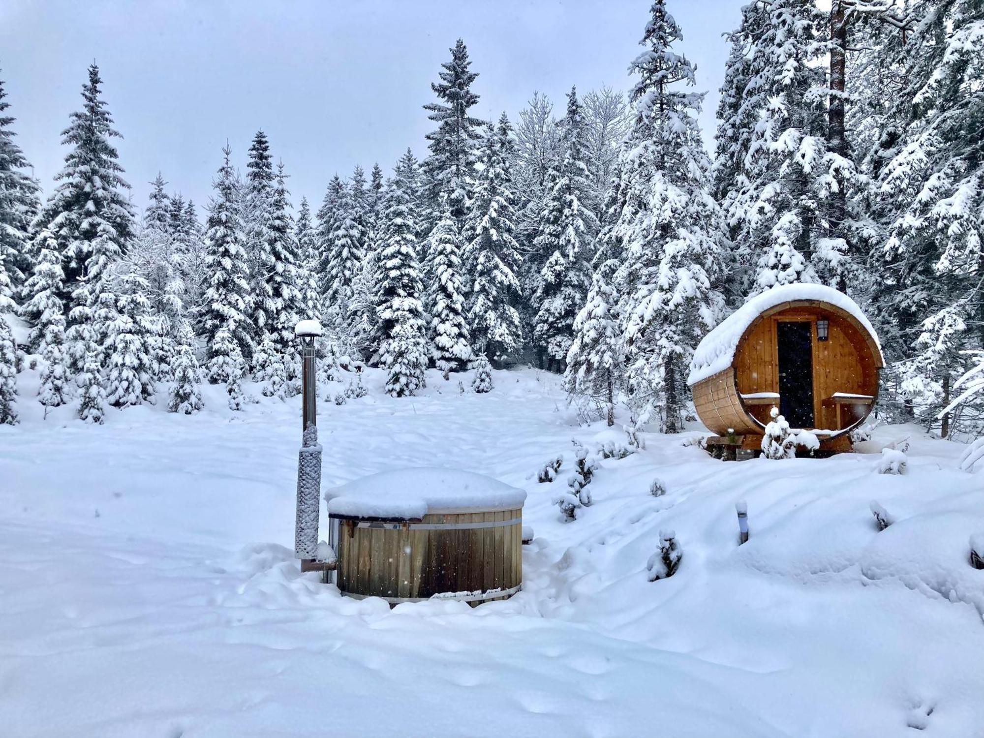 Chalet Wildalpen Exterior photo