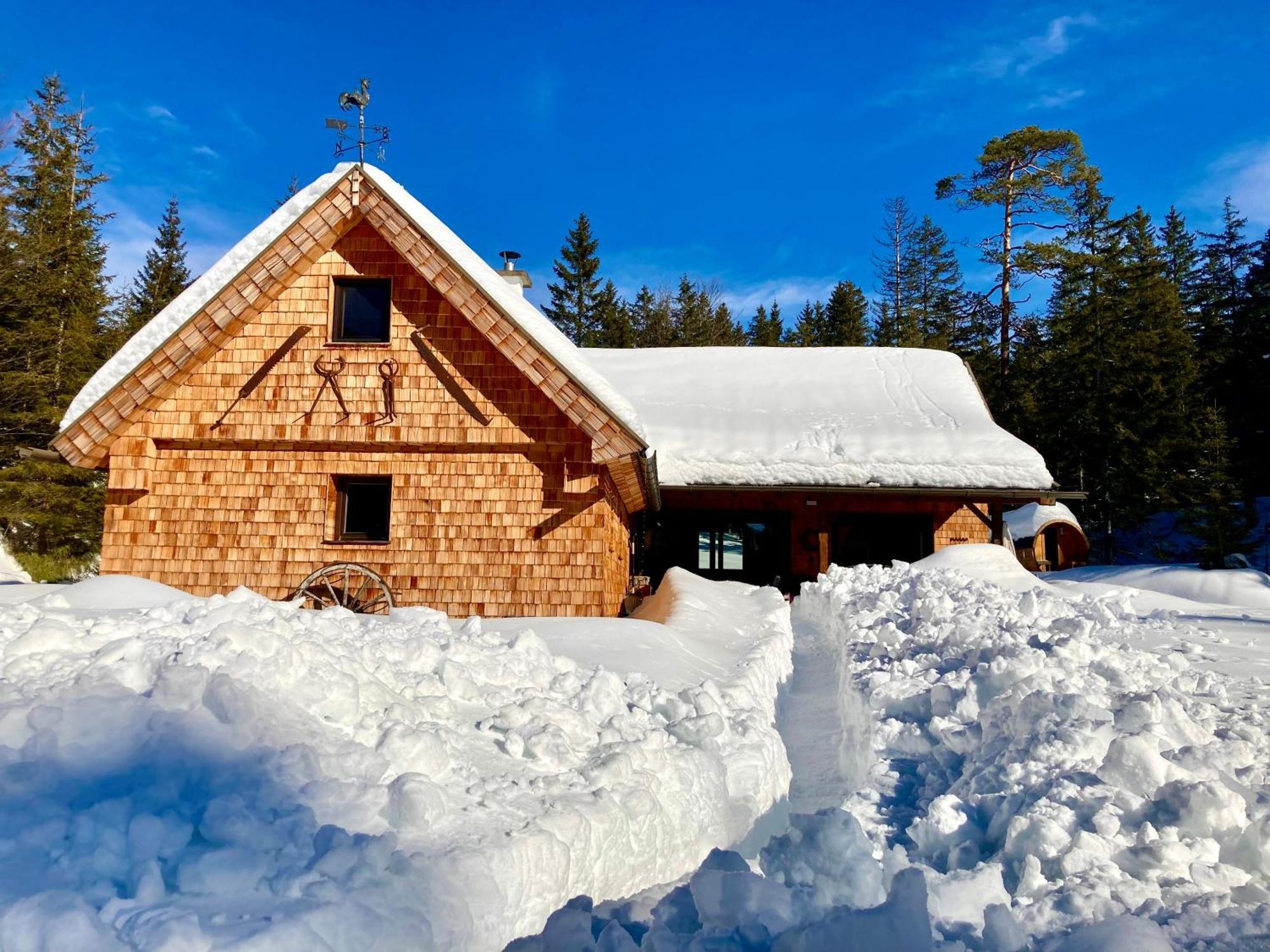 Chalet Wildalpen Exterior photo