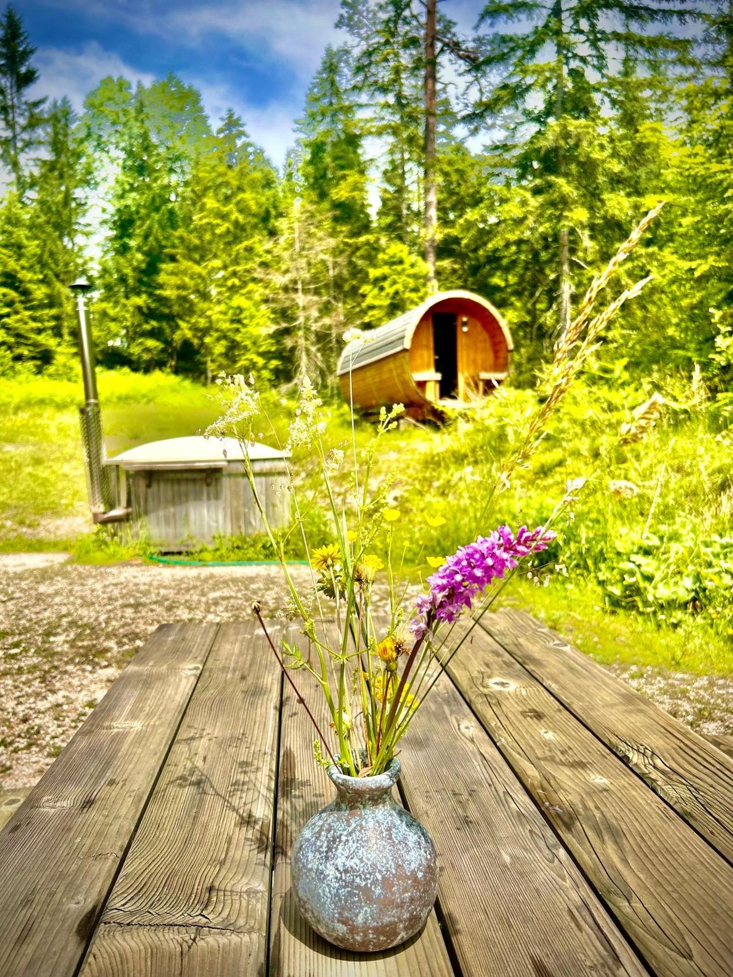 Chalet Wildalpen Exterior photo